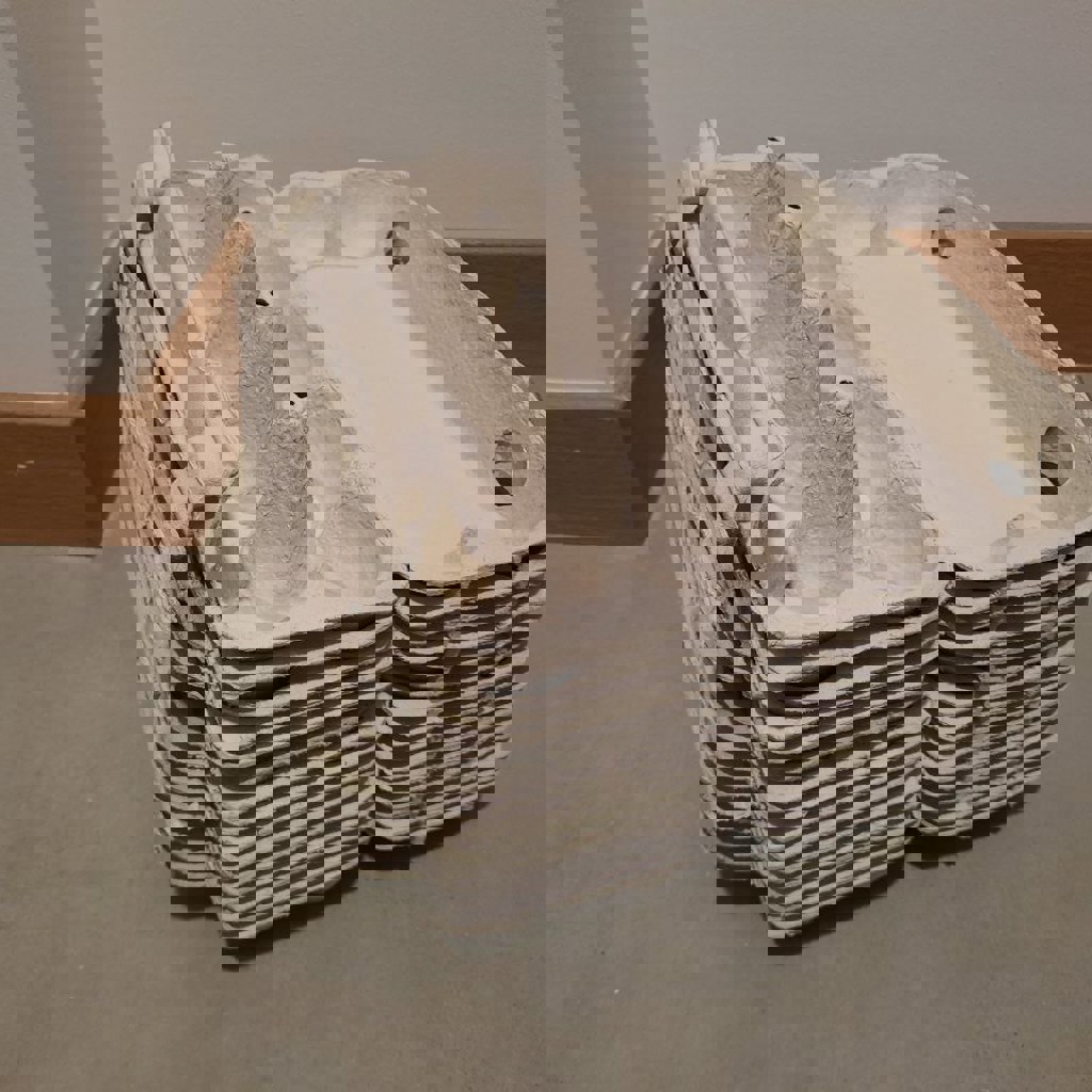 Ячейки для яиц