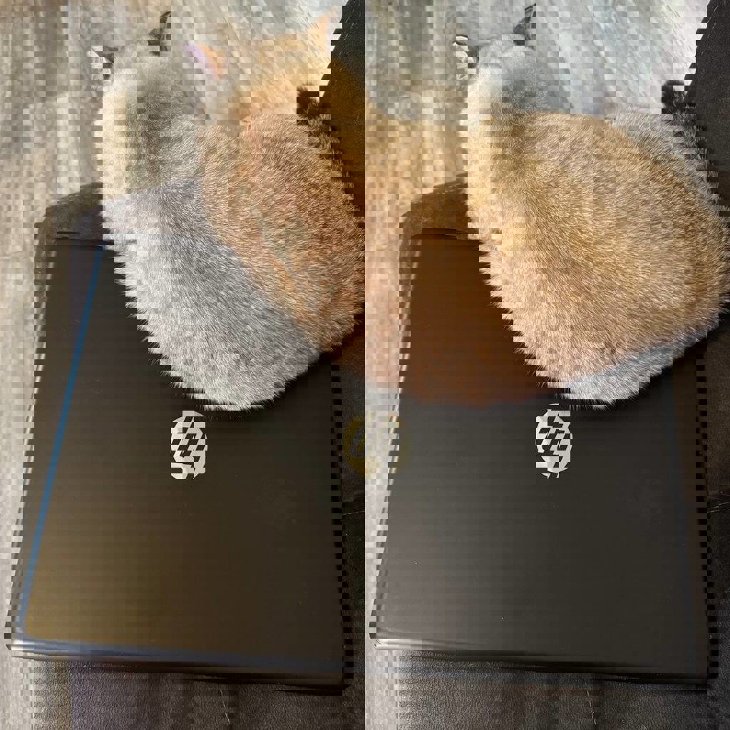 HP Pavilion 17-ab425ur