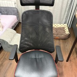 Лесенка для собаки - фото 1