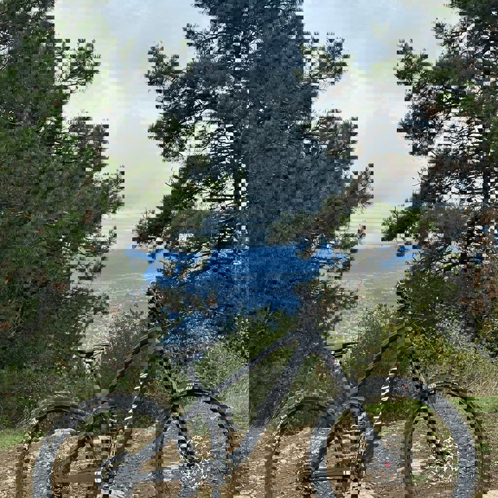 Велосипед Canyon Spectral CF 140