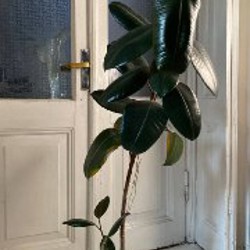 Горшки для растений - фото 5