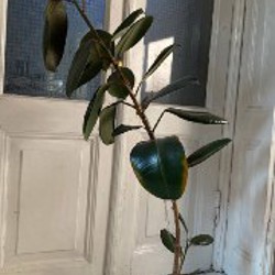 Горшки для растений - фото 6