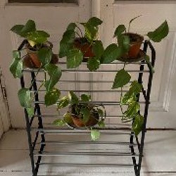 Горшки для растений - фото 8