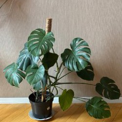 Рамки JYSK - фото 8