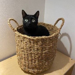 Корзины квадратные плетеные - фото 4