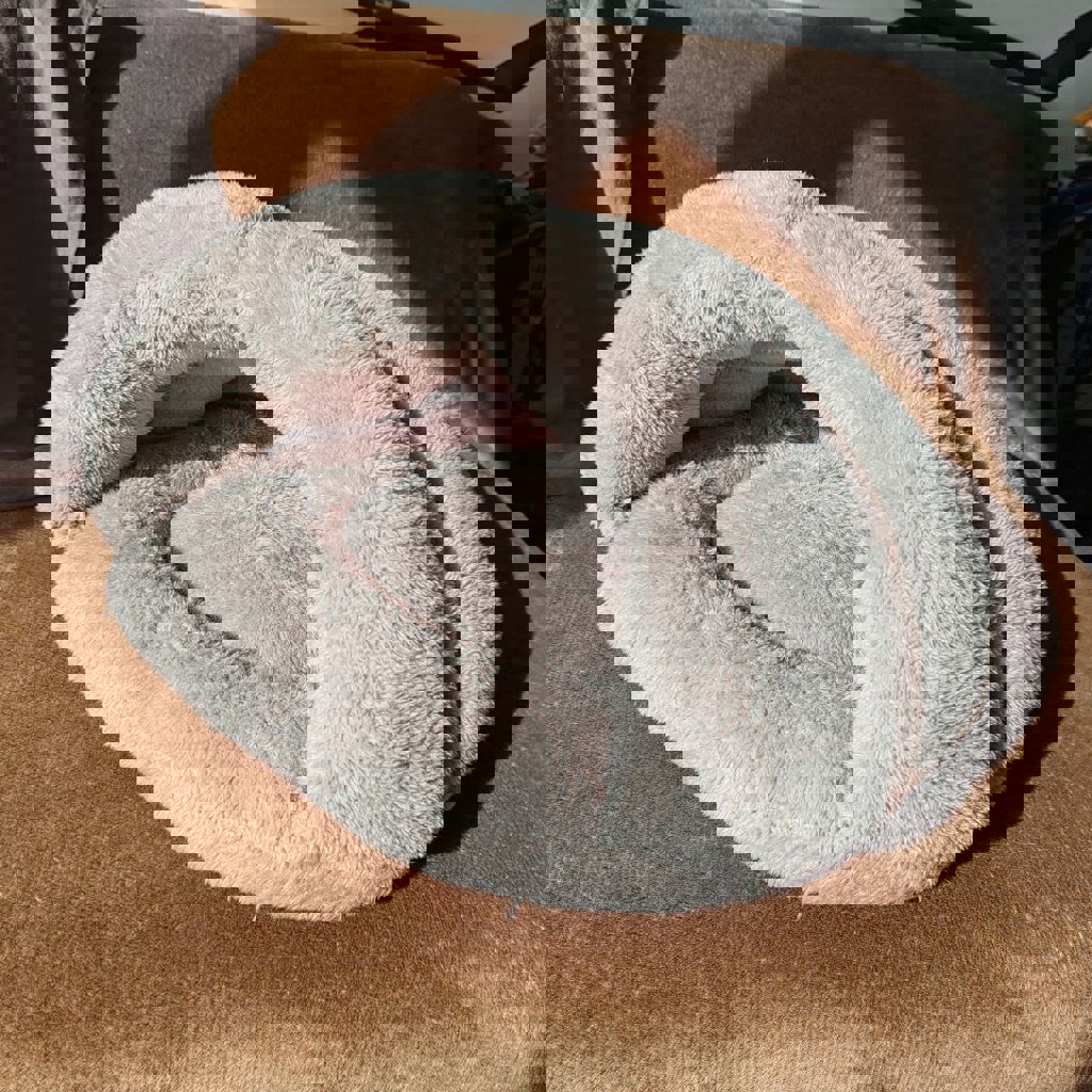 Лежанка для кошек