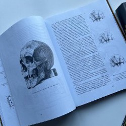 Основы учебного академического рисунка: Голова человека - фото 3