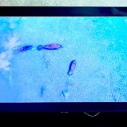 Телевизор Samsung UE55AU7100U - фото 2