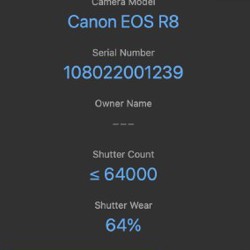 Canon R8 - фото 6