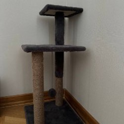 Когтеточка - фото 2