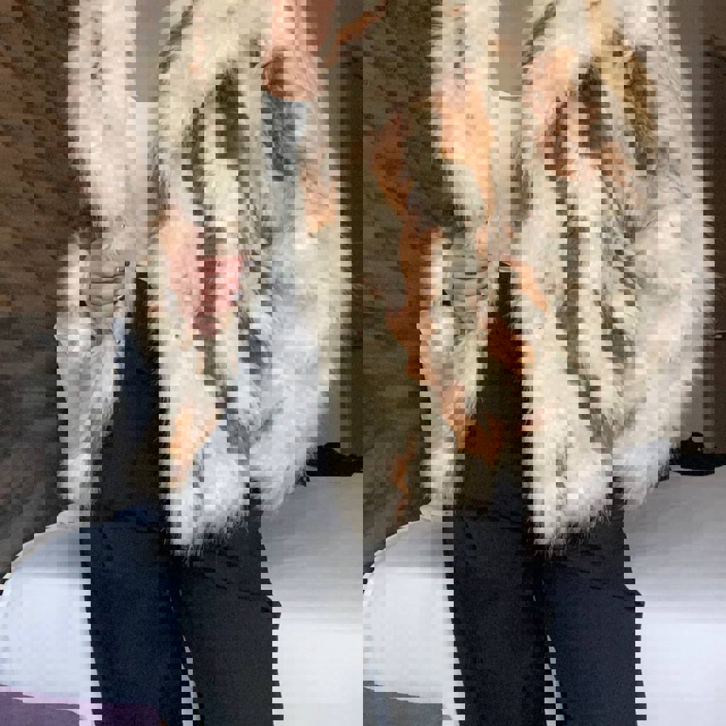 Свитер Bershka