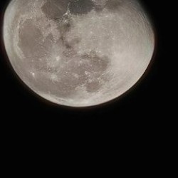 Honor Magic 7 Pro - фото 8