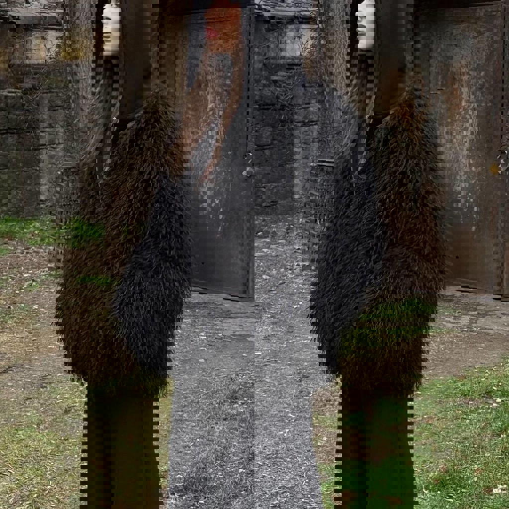 Черная шуба