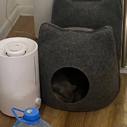 Xiaomi router ac1200 - фото 7