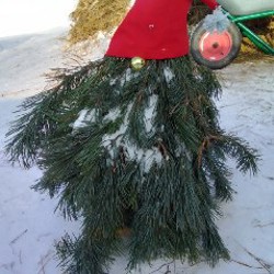 Плетёный шар - фото 7