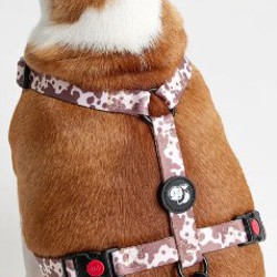 Шлейка - фото 8