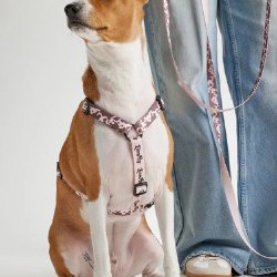 Шлейка - фото 10