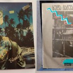 Пластинки двойные - фото 1