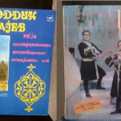 Пластинки двойные - фото 5