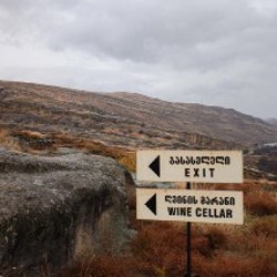 Fujifilm XF10 - фото 6