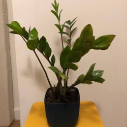 Графин - фото 2