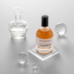 Парфюм Scentologia Forest.Blends - фото 2