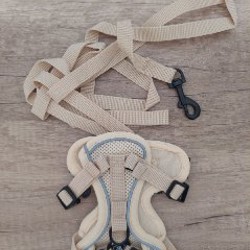 Шлейка для кошек и собак мелких пород - фото 1