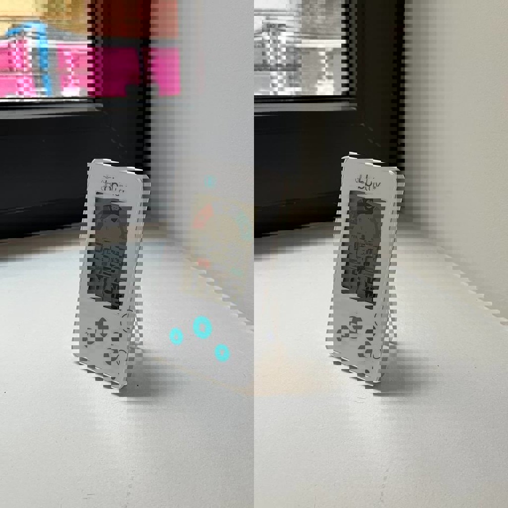 Гигрометр / термометр Bbluv