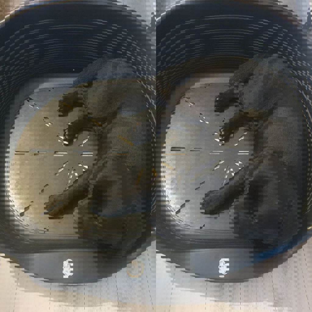 Собачья лежанка Ferplast