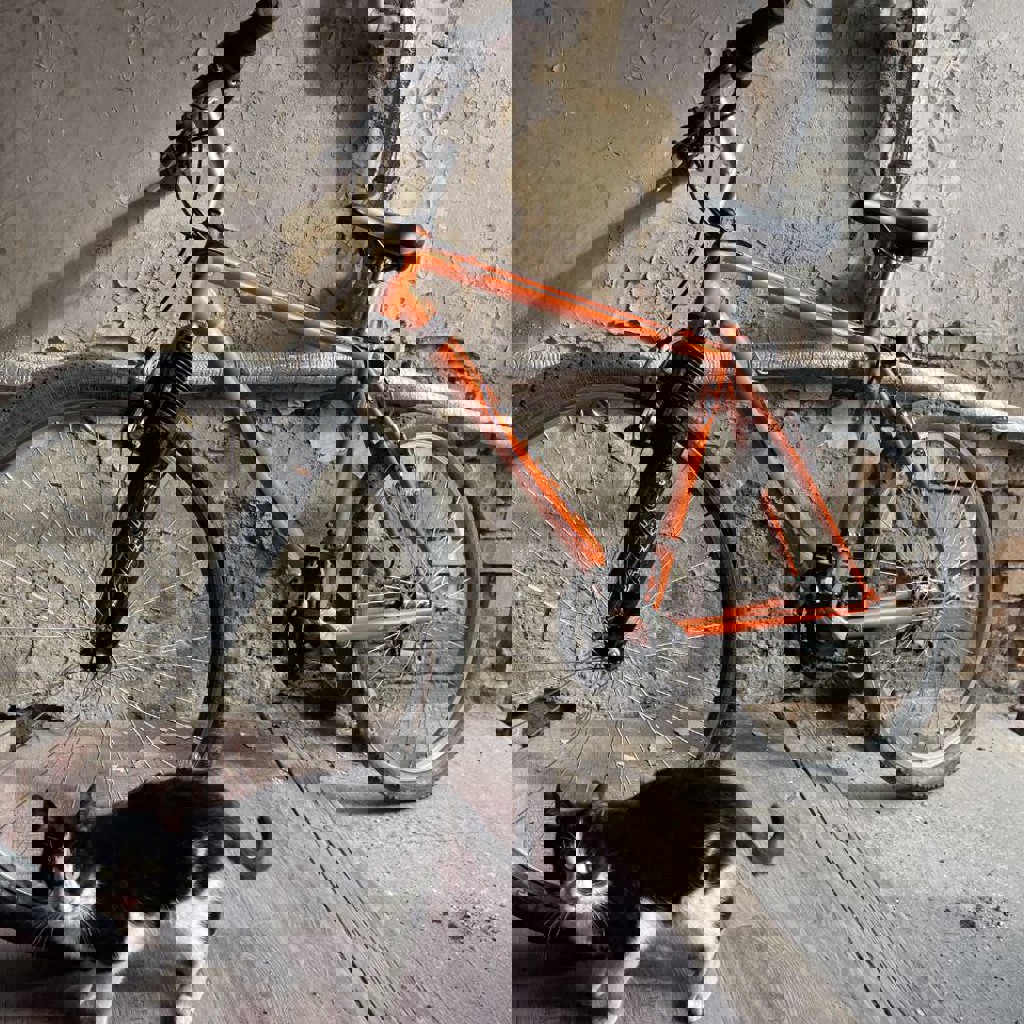 Велосипед Mongoose MGX 26'