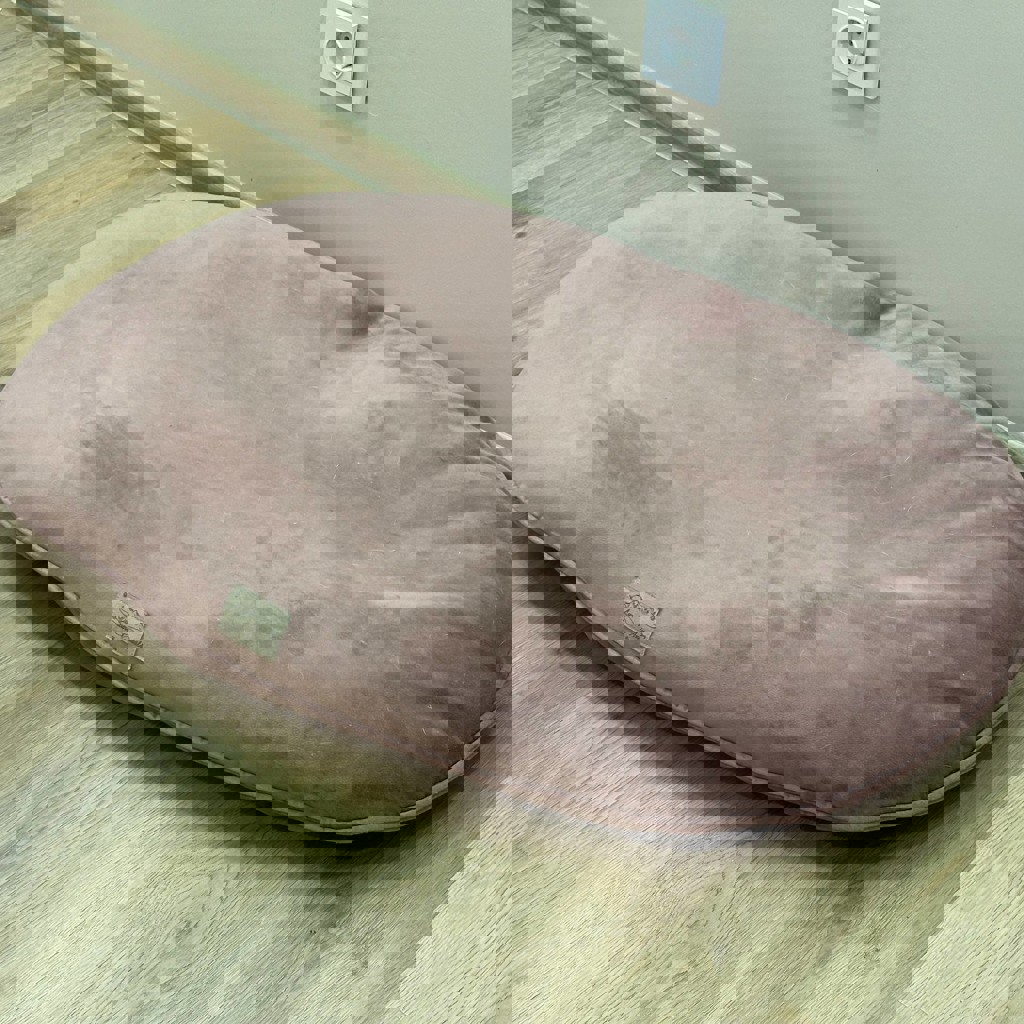 Собачья лежанка