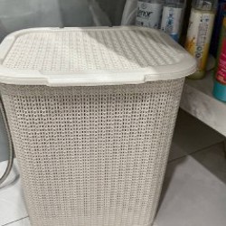 Диско-гриб - фото 1