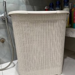 Диско-гриб - фото 2