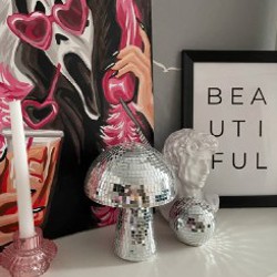 Диско-гриб - фото 4