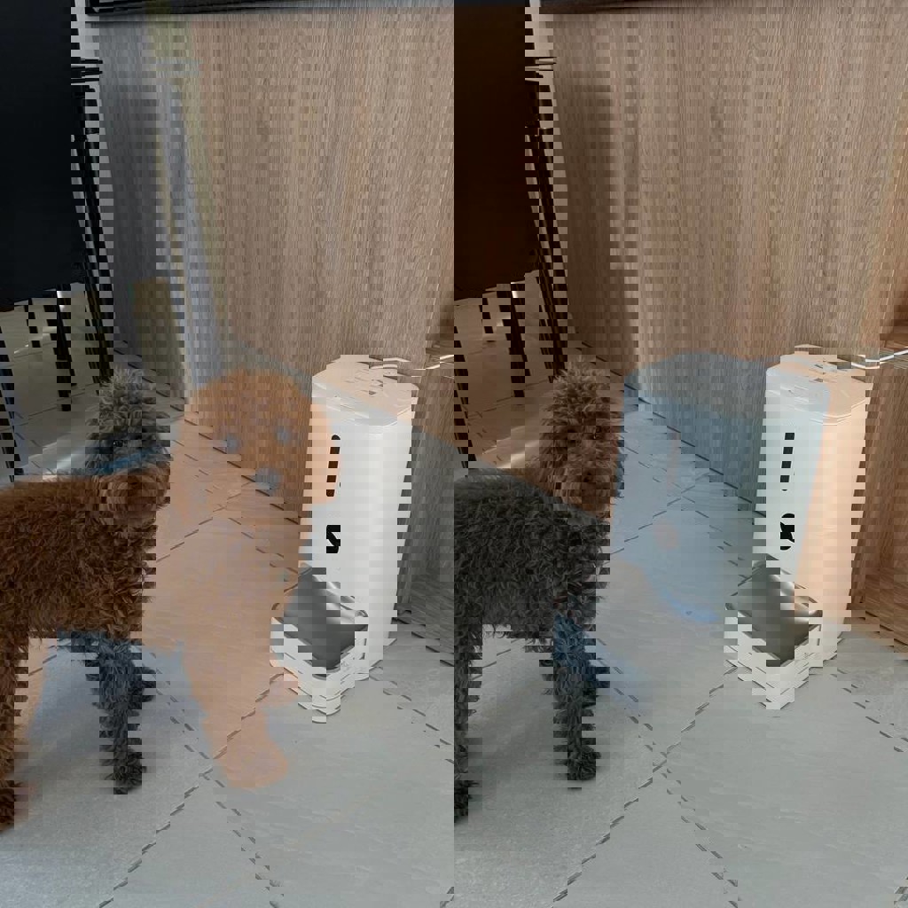 Xiaomi Smart Pet Food Feeder 2 White