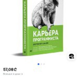 Карьера программиста - фото 2