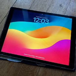 IPad Pro (12,9) (2nd generation) - фото 1