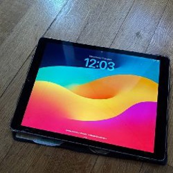 IPad Pro (12,9) (2nd generation) - фото 3