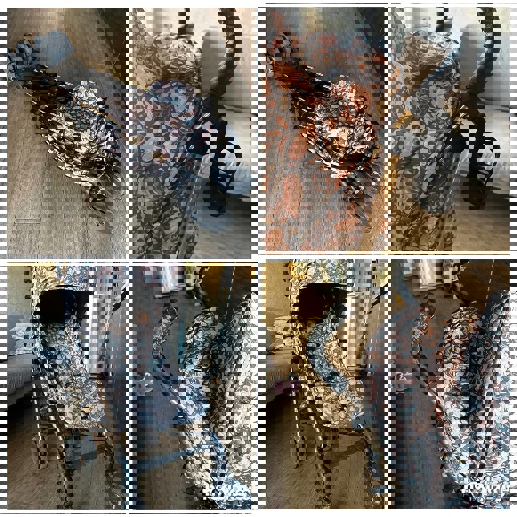 Коляска трость Elodie