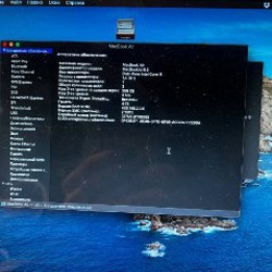 Mac 2013 - фото 3