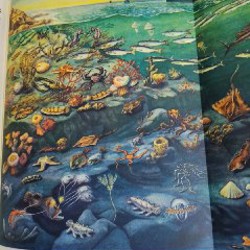 Детская большая энциклопедия - фото 3