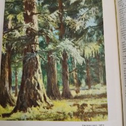 Детская большая энциклопедия - фото 4