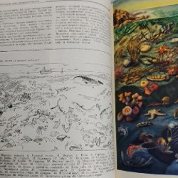 Детская большая энциклопедия - фото 5