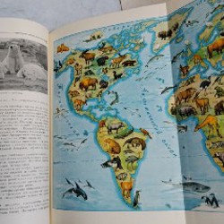 Детская большая энциклопедия - фото 6
