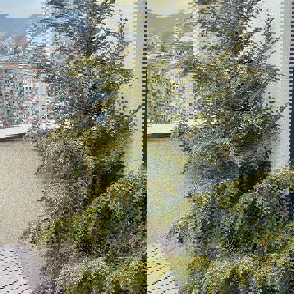 Елка с гирляндой