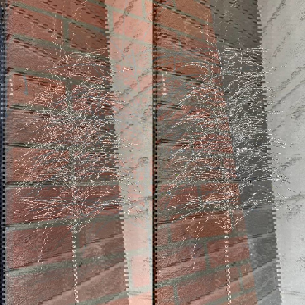 Декоративные веточки