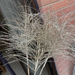 Декоративные веточки - фото 2