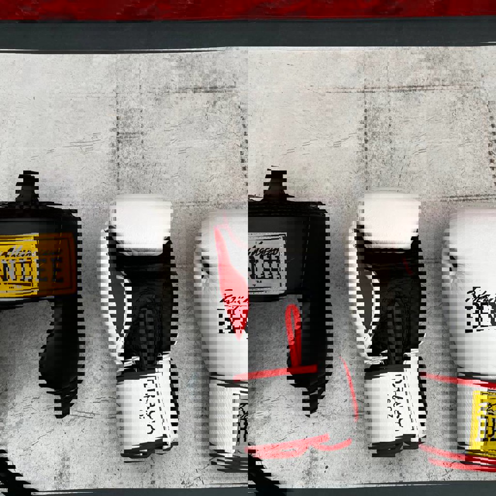 Боксерские перчатки Benlee Draco