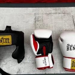 Боксерские перчатки Benlee Draco - фото 1