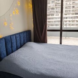 Тазик - фото 2